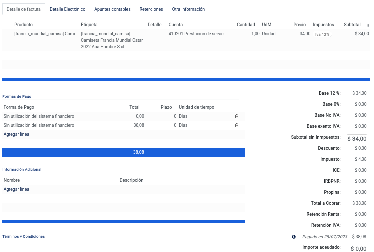 _images/detallefacturaenpagos.png