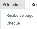 _images/opcimprimirpagos.png