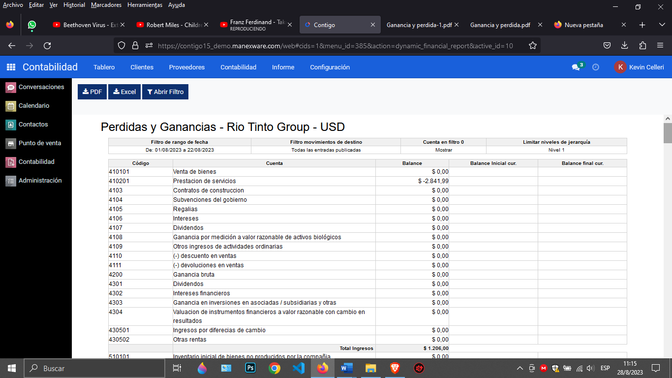 _images/perdidayganancia.png